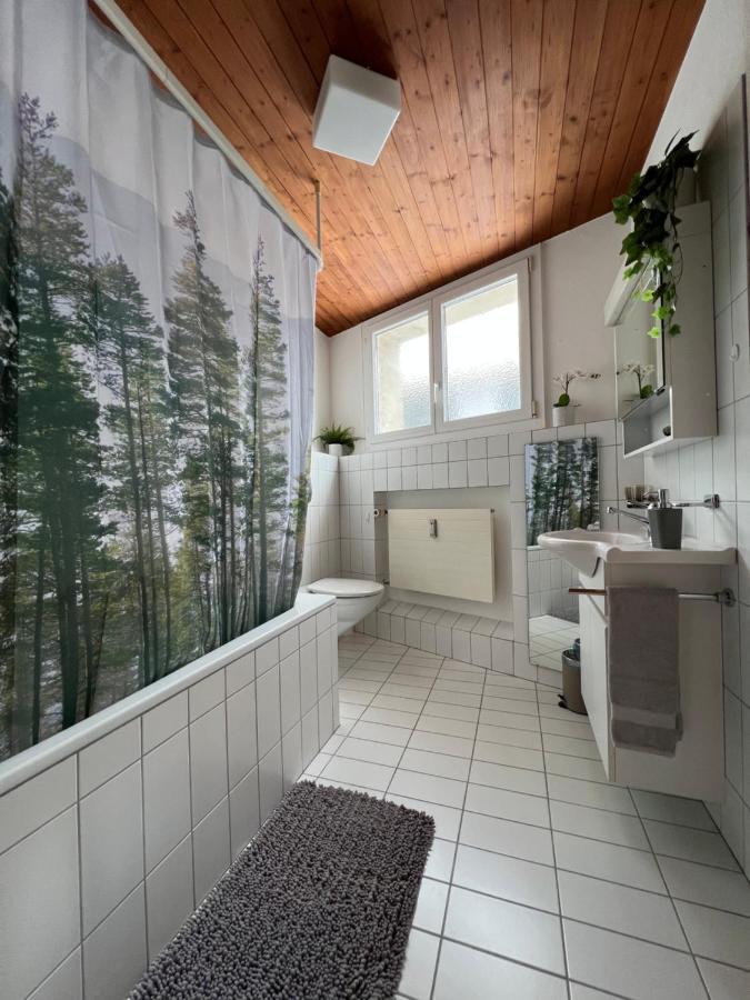 Ferienwohnung Dorfzentrum Disentis Esterno foto